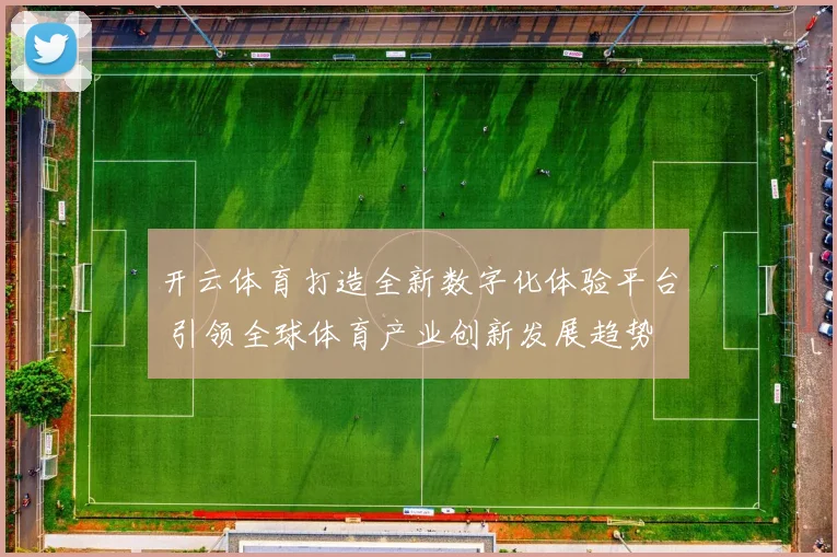 开云体育打造全新数字化体验平台 引领全球体育产业创新发展趋势